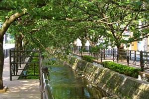 温泉街をのんびり