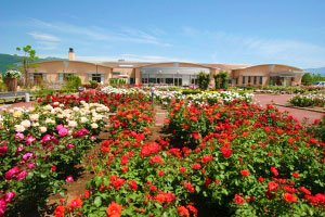 ローズガーデンと温泉