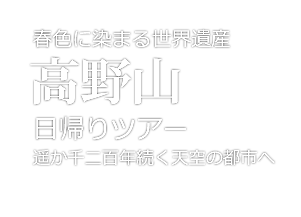 世界遺産 高野山 日帰りツアー 何度でも行きたい天空の聖地 バスツアーのアップオン