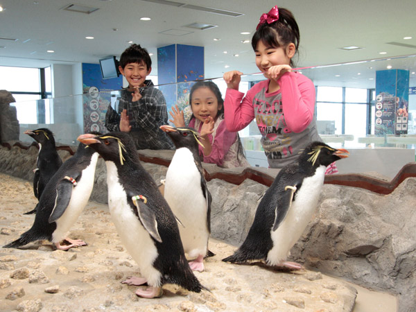 海遊館 世界最大級の水族館 大阪観光スポット情報 バスツアーのアップオン