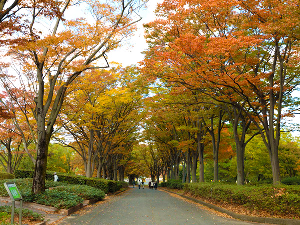 万博記念公園 自然文化園 日本万国博覧会後に再生された自然の森 大阪観光スポット情報 バスツアーのアップオン